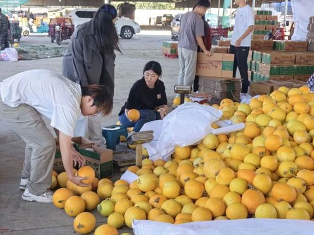 bc44d748e32ab792e5a24ac2c5f67753