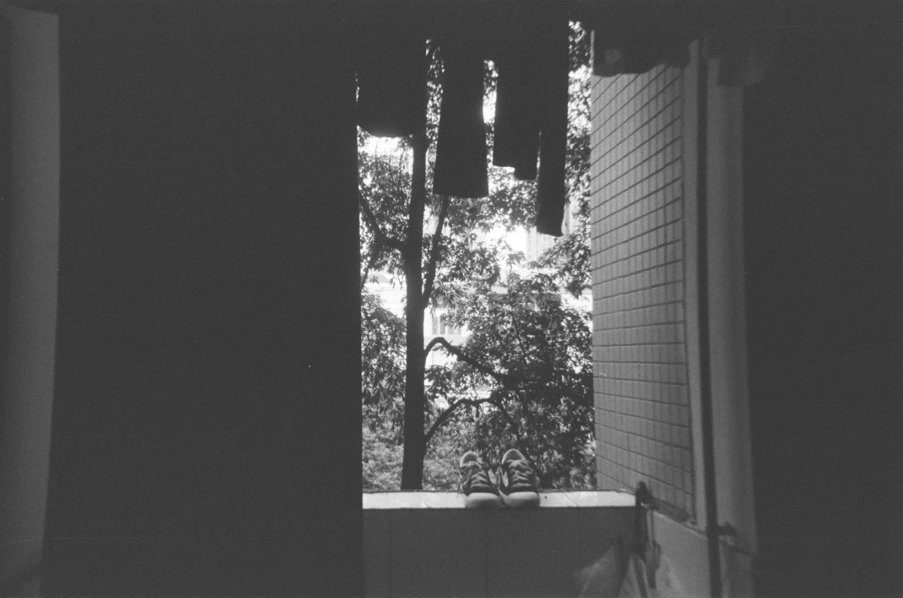 mmexport1687230136377.jpg mmexport1687230136377.jpg