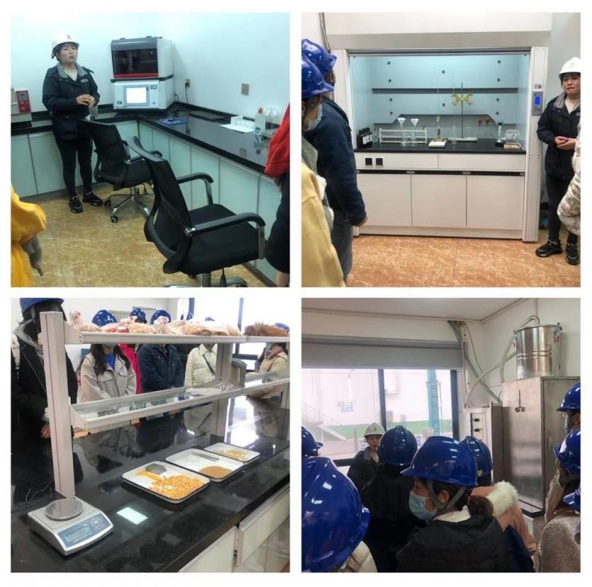 620EB80A08F5BBD61A33801C473_174A05CE_223