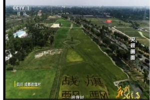 成都电视台：亲访《致敬改革开放40周年》中的战旗村创业青年 乡村创业不简单