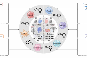 医学院本科生在国际知名期刊Theranostics发表综述