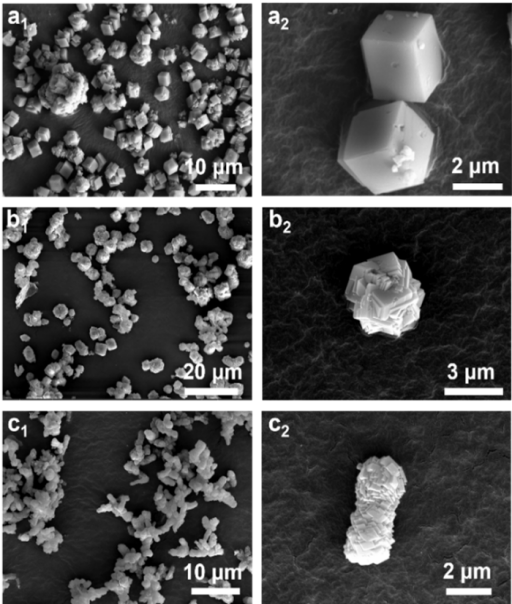 材料学院本科生报道多尺度组装最新研究成果