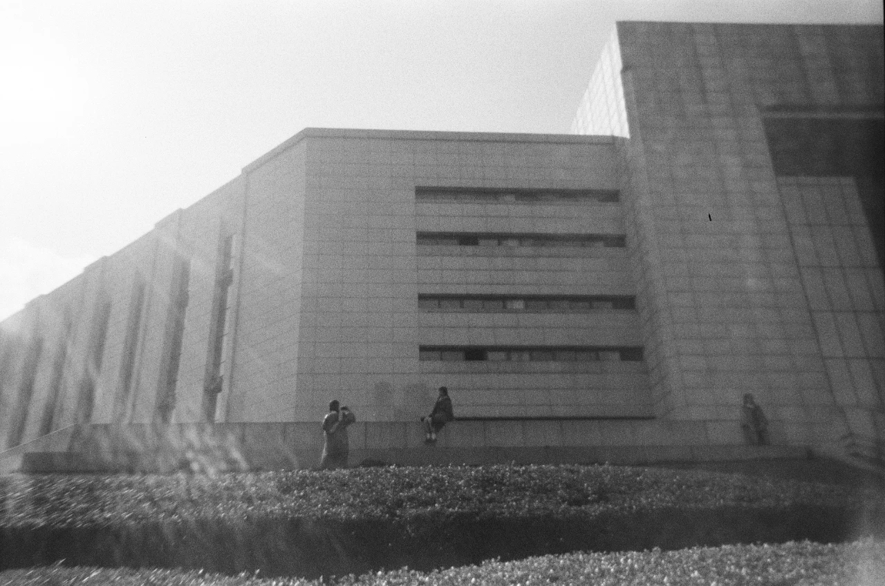 mmexport1687228400304.jpg mmexport1687228400304.jpg