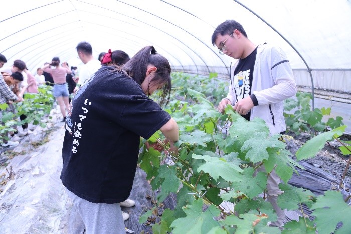 4.jpg 0631eb43708847b9845058c3e46a60be_44107.j