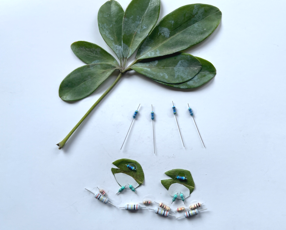 22.png 071bbb996dfa4a7c8f2f1de70dee4f21.png