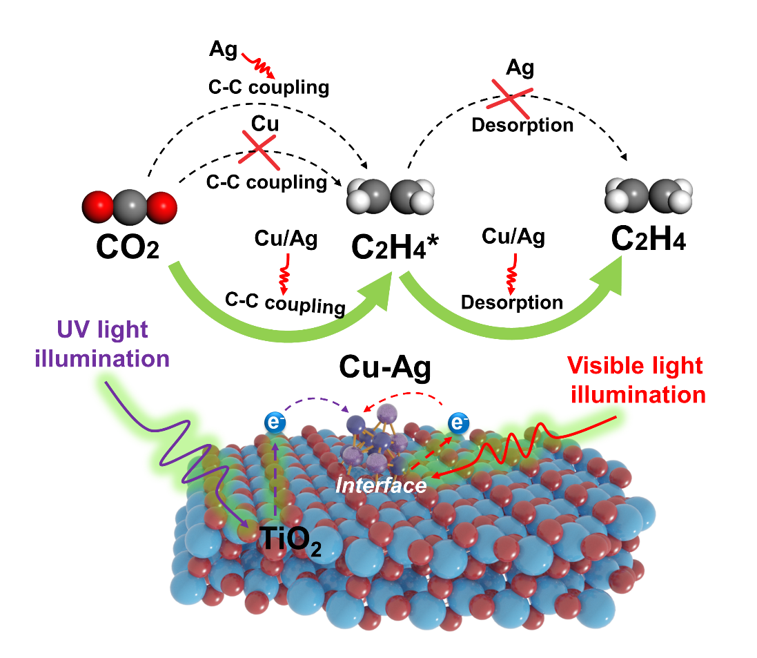 基础院董帆教授团队在《美国科学院院报》发表碳中和方向重要研究成果