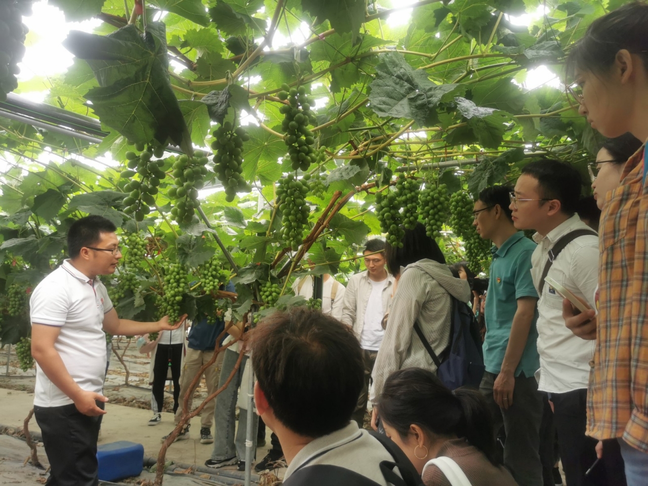 基础院党史2.jpg 0809804ae628bf4cd2945b4d881ec295_3254a.j