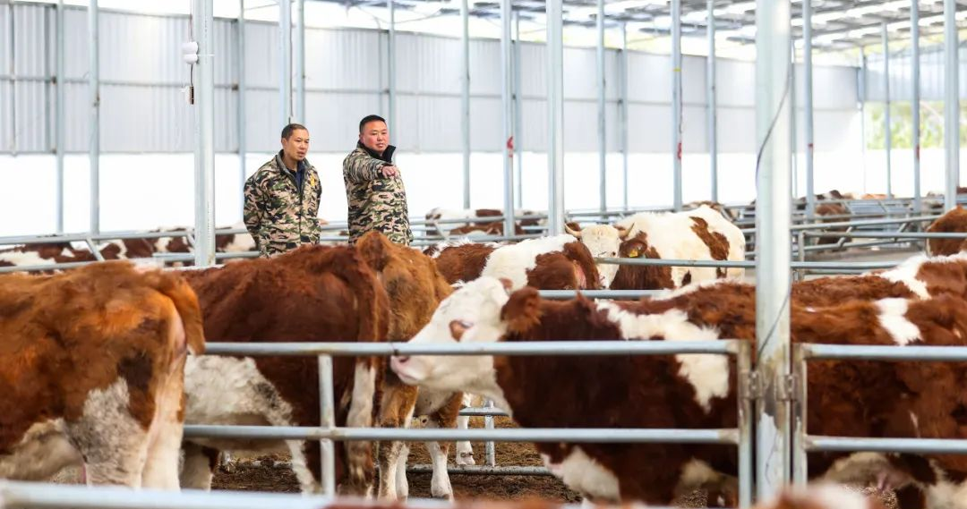 图片10.png 图片10.png