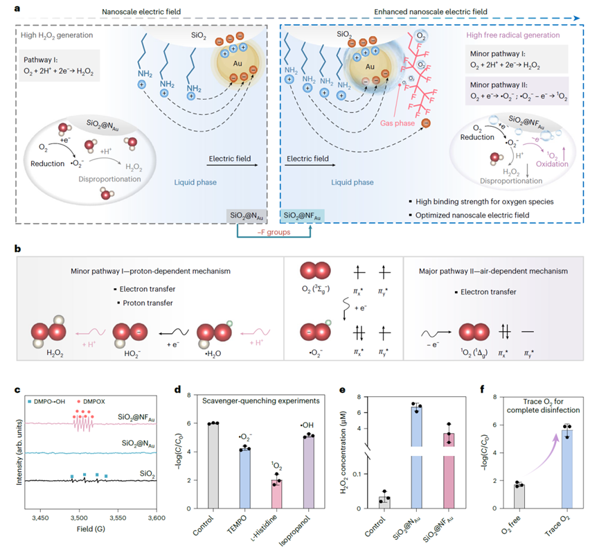 基础院邓旭教授团队在Nature Nanotechnology上发表最新研究成果