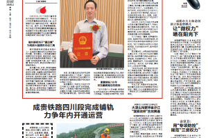 【美丽成电·创新之美】18年磁共振脑成像研究 破解癫痫“密码”