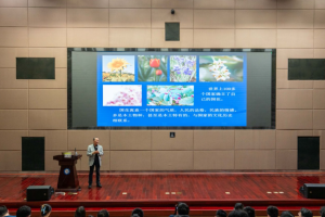 【成电讲坛】中国考古学会齐东方：花草动物说唐朝