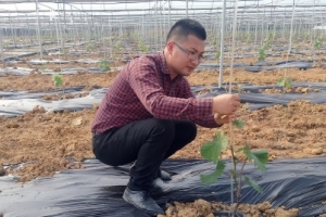 中国农网：刘沈厅的家庭农场梦