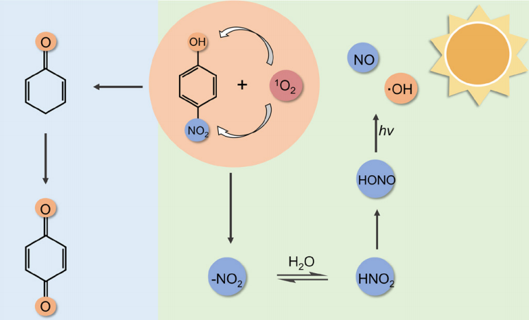 董帆PNAS21.png 董帆PNAS21.png