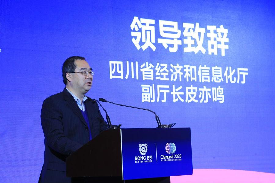 学校承办第十八届中国国际软洽会特色化示范性软件学院建设专题会议