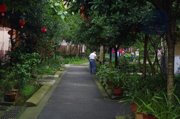 【实践】政管心霖文化服务队：凤凰涅槃，九龙故事