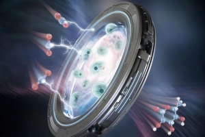 文汇：让二氧化碳高效变成“糖与油”，中国科学家再获新突破！