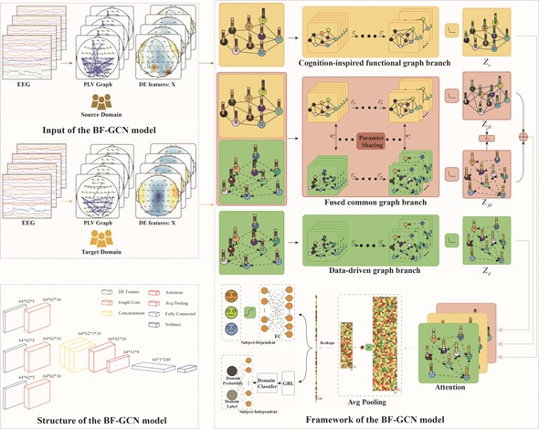 电子科大脑器交互团队在人工智能领域顶级期刊IEEE T-NNLS/SMCA发表系列学术论文