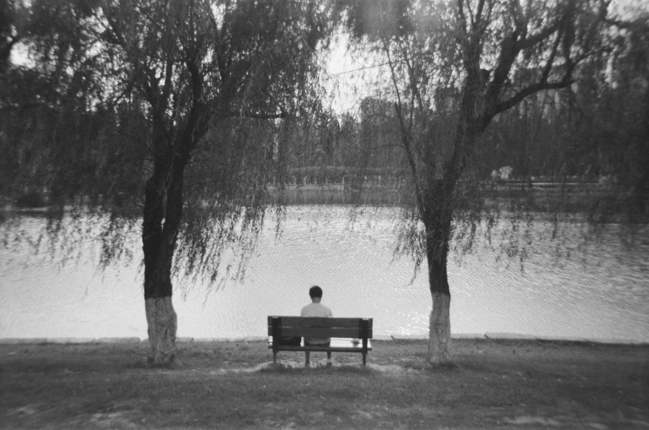 mmexport1687227720479.jpg mmexport1687227720479.jpg