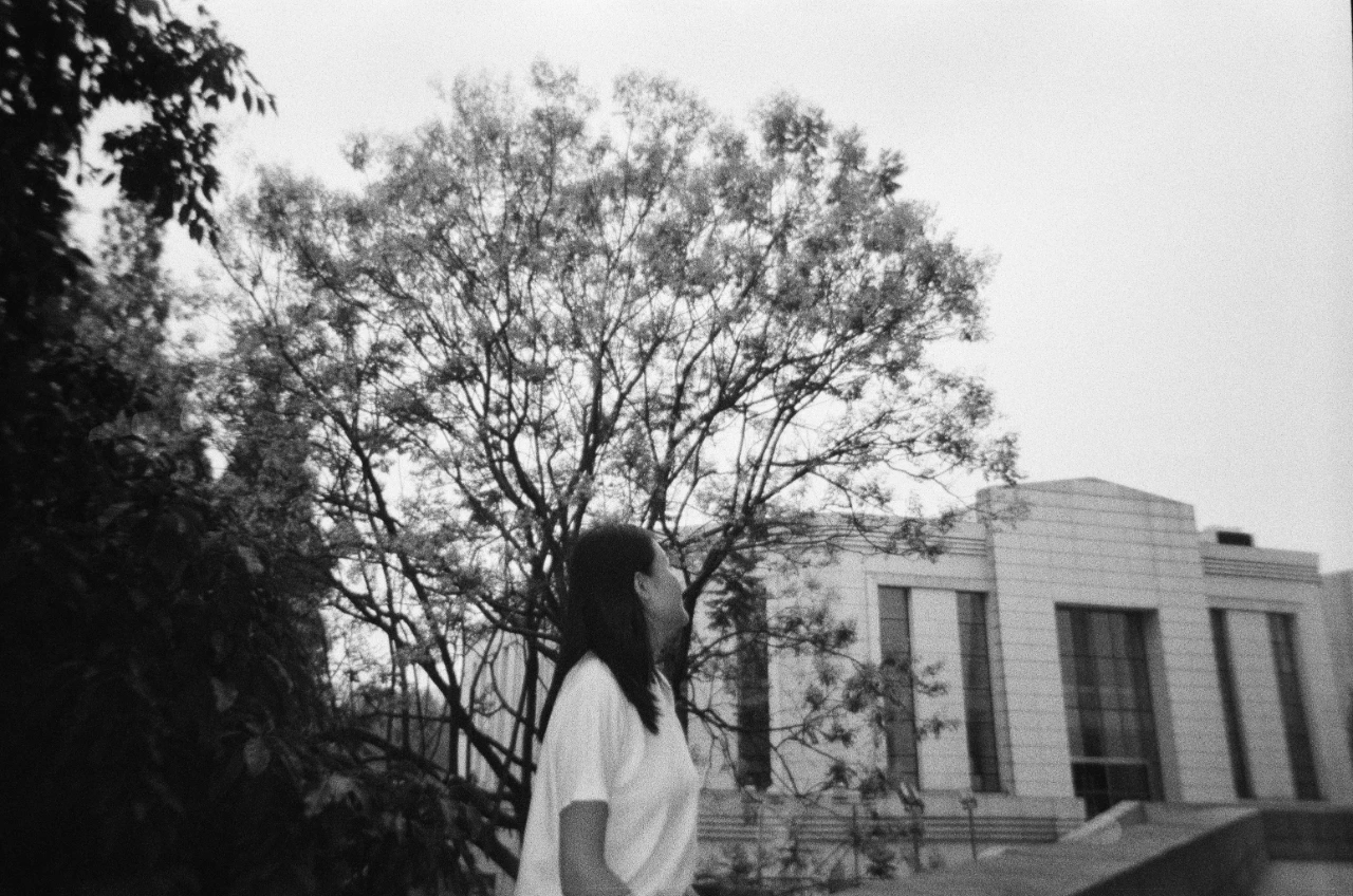 mmexport1687230144318.jpg mmexport1687230144318.jpg