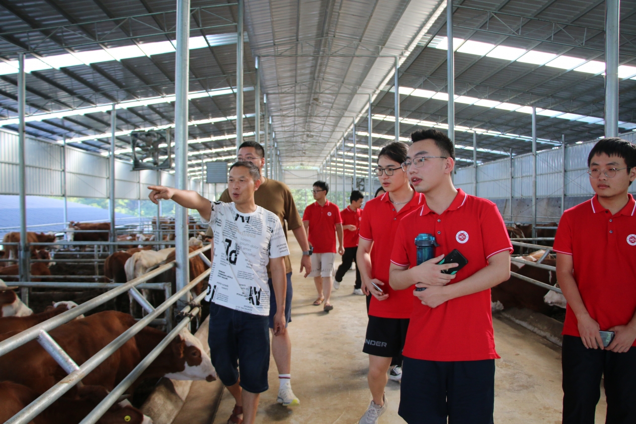 7.jpg 18e399c3feb71932c406401ef41fa807_73acb.j