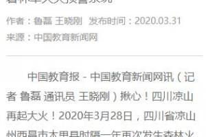 中国教育新闻网 | 电子科技大学科研团队：建议尽快部署林草火灾预警系统