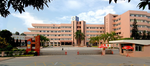 【纪实】“凤凰”中山初长成