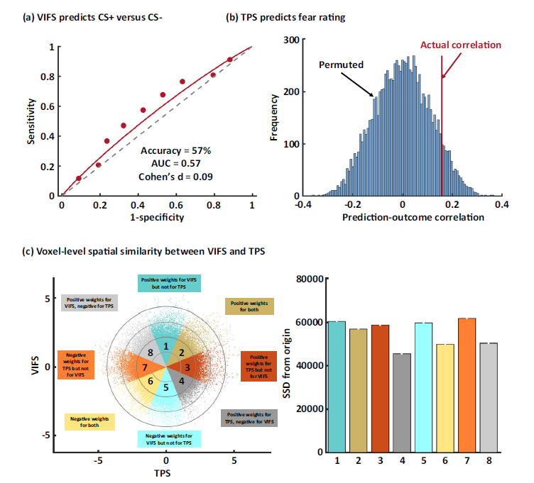 人脑如何表征恐惧情绪？neuSCAN团队最新研究在Nature Communications发表