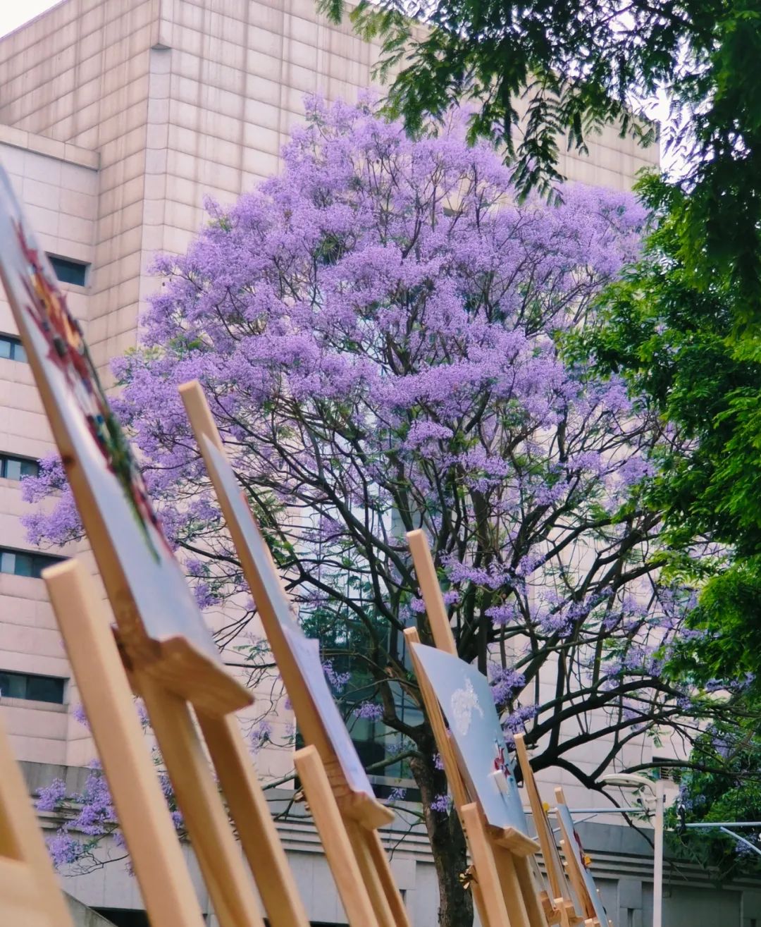 26.jpg 1c6df255119db6fe7d7aa01adc084534.jpg