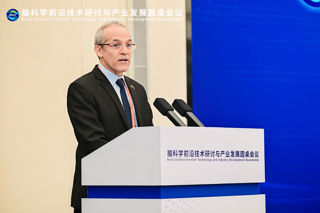 图片4 阿曼多.JPG