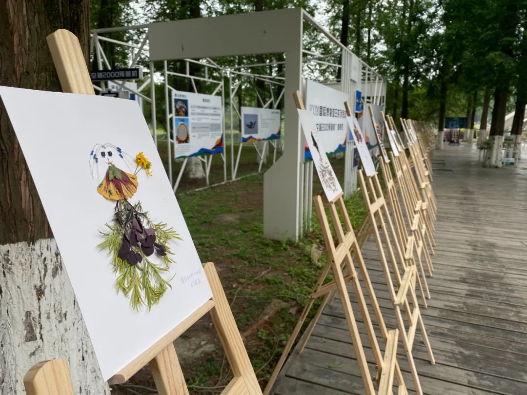 30.jpg 1cbbb38ab478767bdc08b81fe0b99869.jpg