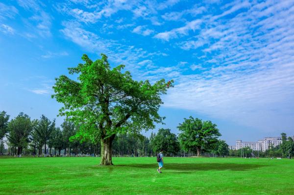 _R001815-编辑.jpg 1eef206c42bf00e4f064e4f771b7ff40.jpg