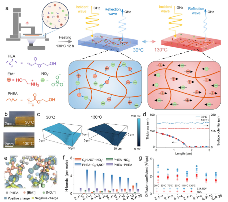 电子学院博士生在Nature Communications发表研究成果
