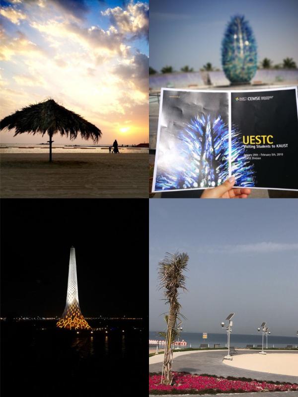 【成电国际】我校学子赴阿卜杜拉国王科技大学开展交流活动