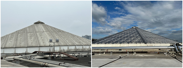 改造“微环境”，守护师生“小幸福”！