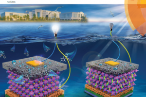 电子学院贾春阳教授课题组在《Energy & Environmental Science》上发表封面研究论文