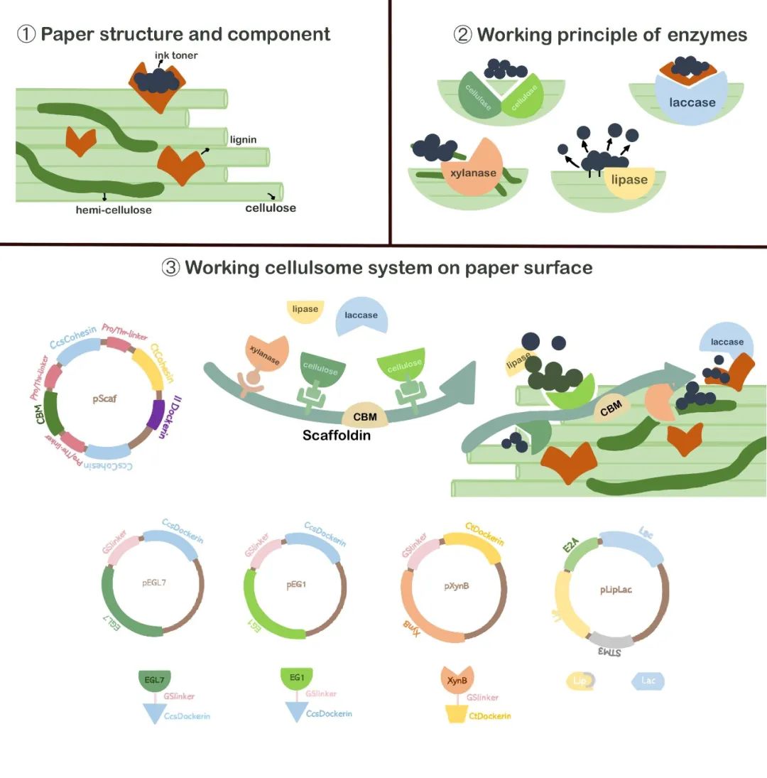 5.jpg 2428e210240785deb3fc57e3410780c7.jpg