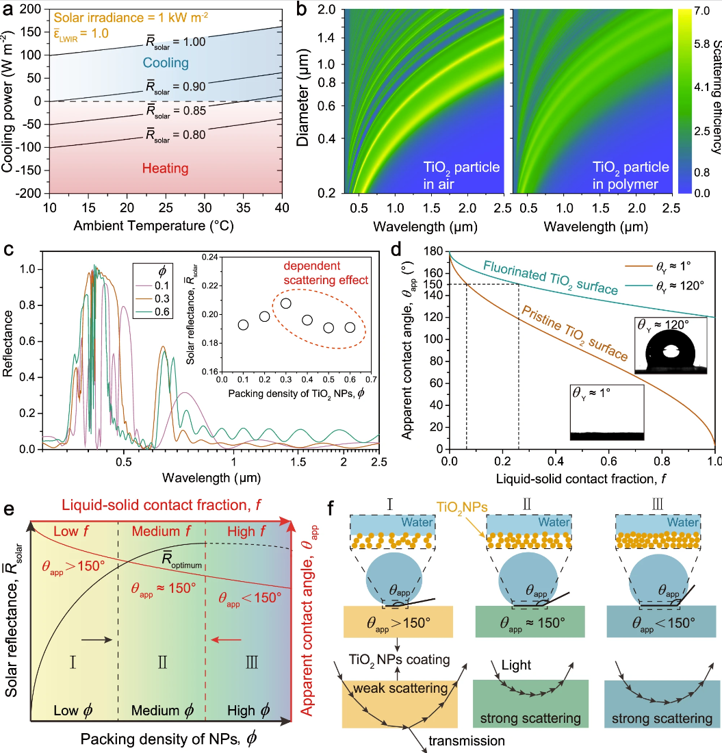 基础院邓旭教授团队在Nature Communications发表最新研究成果
