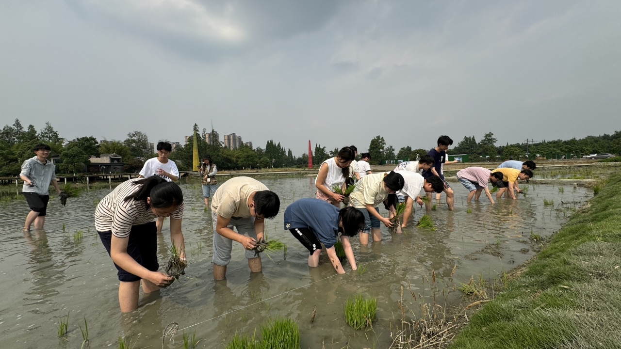 学校组织开展校外劳动教育实践
