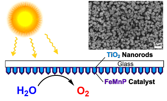 基础院王志明教授团队在催化领域顶级期刊发表论文