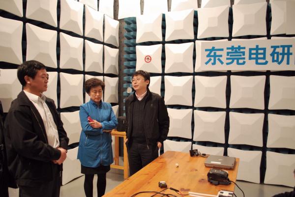 洛阳市副市长陈向平一行到电研院考察