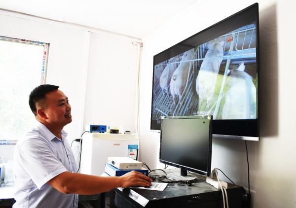 图片说明:远程视频监控可以随时切换观察区域,同时避免人工进出圈舍带来细菌污染.jpg 图片说明:远程视频监控可以随时切换观察区域,同时避免人工进出圈舍带来细菌污染.jpg