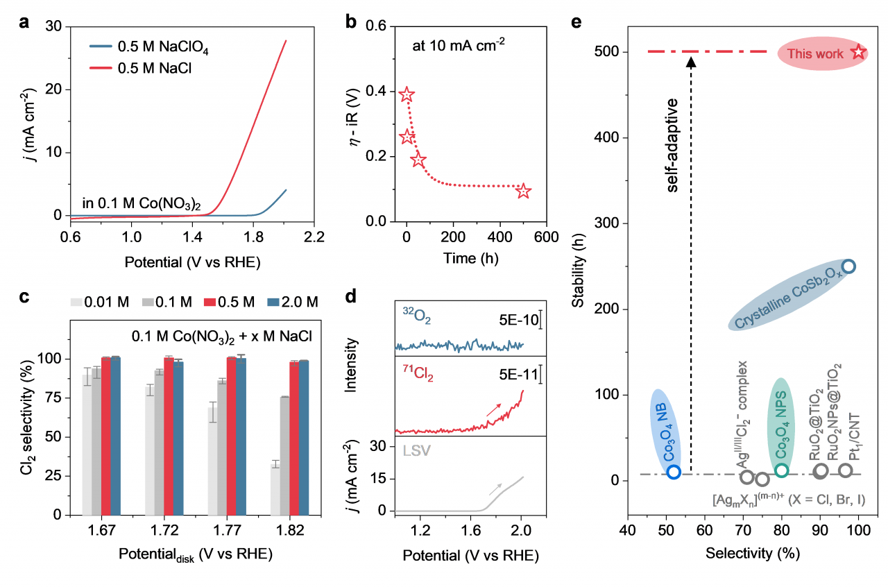 基础院崔春华教授团队在《自然·通讯》发表研究论文