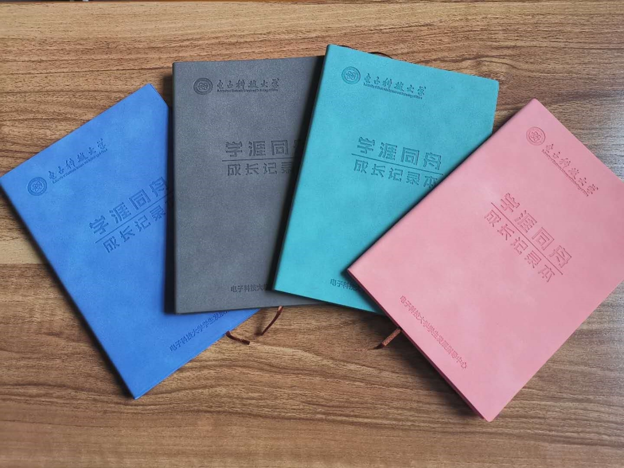 本科生“学涯同舟”计划助力学子互促互进多元化成长