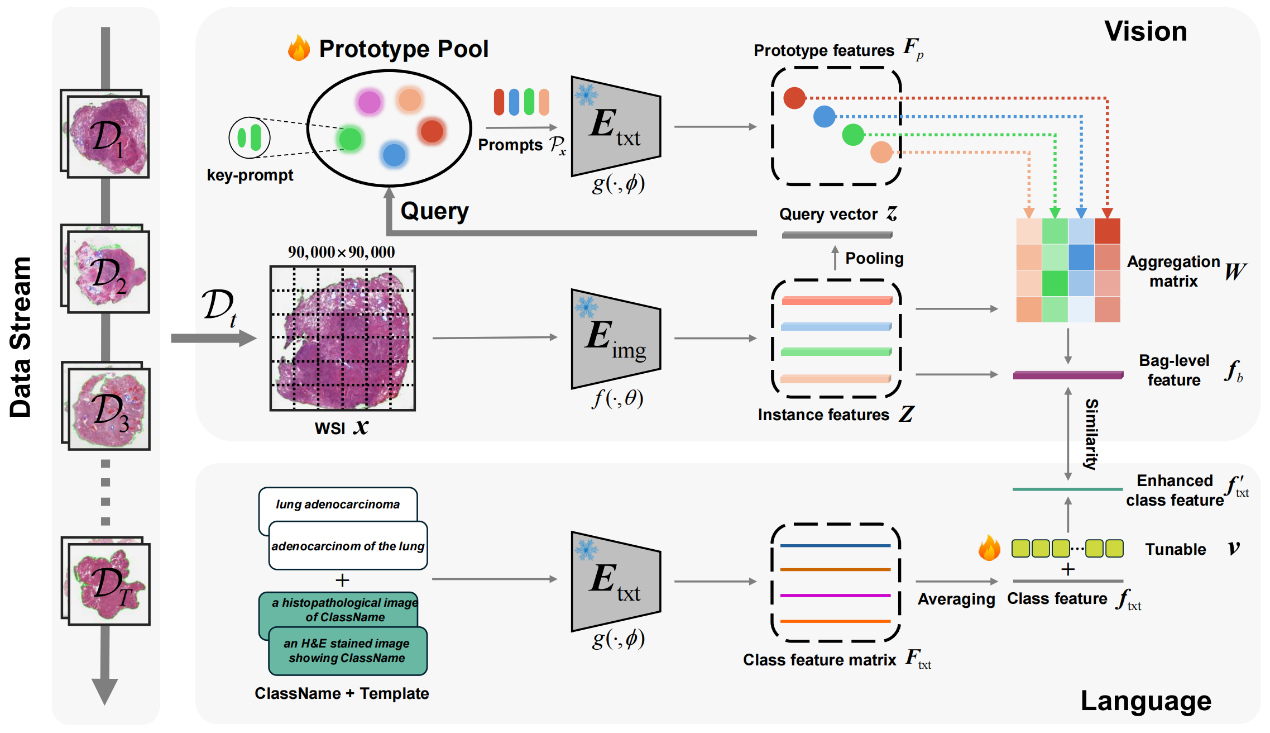 计算机（网安）学院“计算机视听觉”实验室4篇研究成果被人工智能顶级会议AAAI 2025录用
