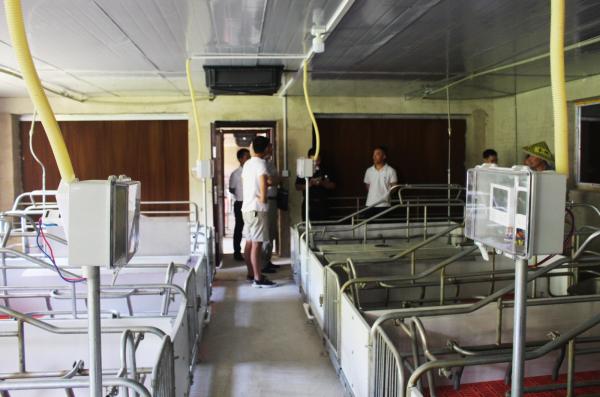 IMG_3962.JPG IMG_3962.JPG