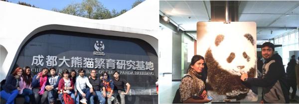 333333333.jpg 333333333.jpg