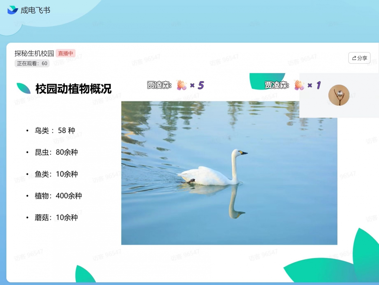 2c0ec0ce00f9bf7c03c6ae277a568c4c_79834.j