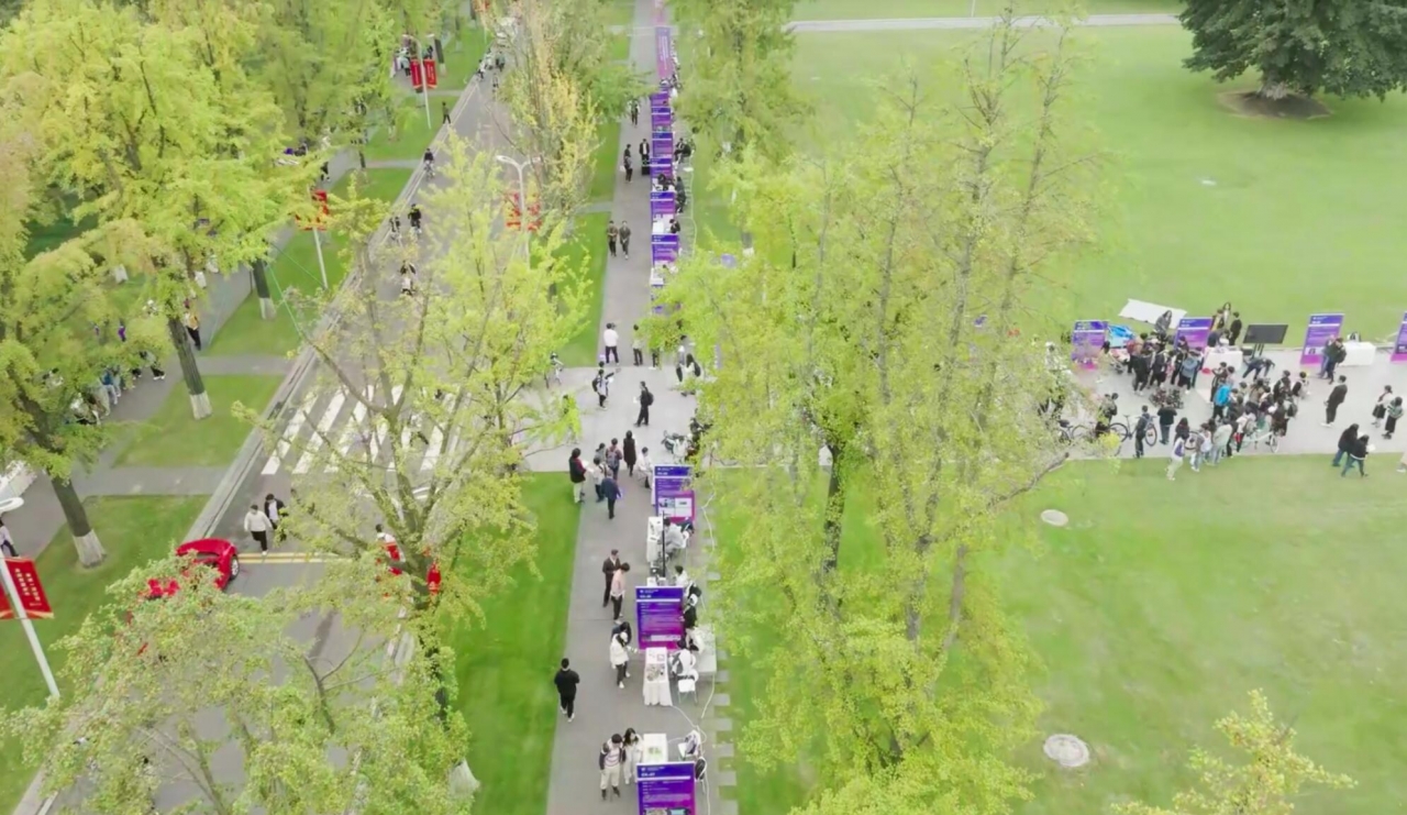 银杏大道.jpg 银杏大道.jpg