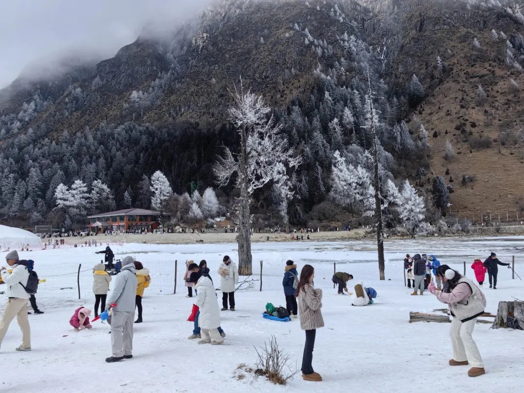 640 (2).jpg 2c88a4db3abda82e517c81df9fa4ccee_fcfac.j