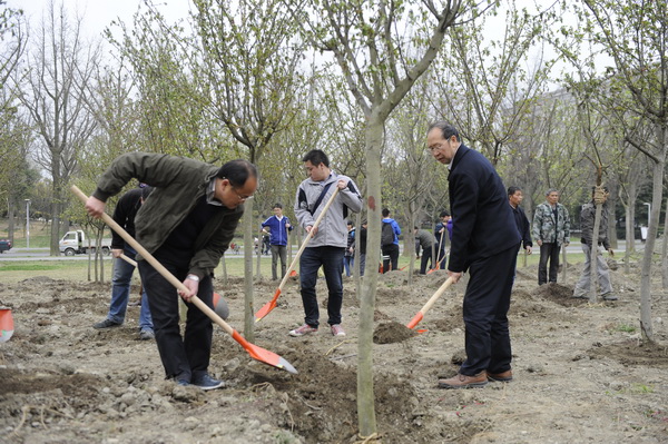 植树节：学校新栽367株“垂丝海棠”